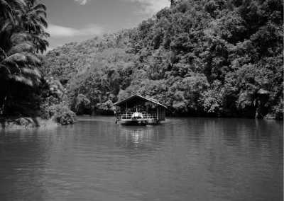 Philippines - Experience the Enchanting Tropical Rainforests of South Luzon: An Unforgettable Nature Escape Near Manila, Philippines - JoinMyTrip