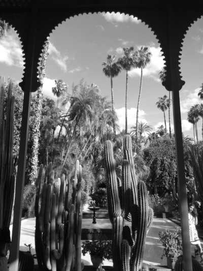 Marokko - Jardin Majorelle-Yves Saint Laurent Mansion - Coworking and Coliving in Marrakech, Morocco | Luxury Villa (Private Room) - 1