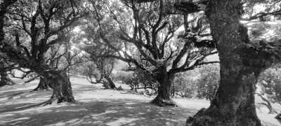 Portugal - Autonome Region Madeira - Wander Retreat Madeira: Körper und Seele im Einklang - geführte Wanderungen, Meditation, vegane Kochsessions, mentales Coaching - 12