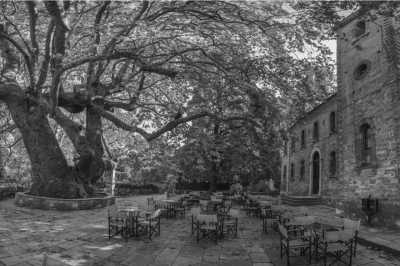 Greece - Tsagkarada - Greece Local Experience: Mountain Pelion Adventure in Centaurus Mt - 1