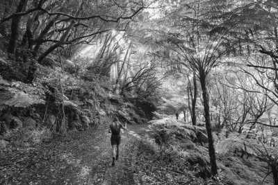 Portugal - Porto da Cruz - Madeira SPECIAL ADVENTURE w/ local guide : A One Of A Kind Hiking Adventure in Madeira: Explore the Island's Trails and Discover Hidden Paths Off the Beaten Track - 4