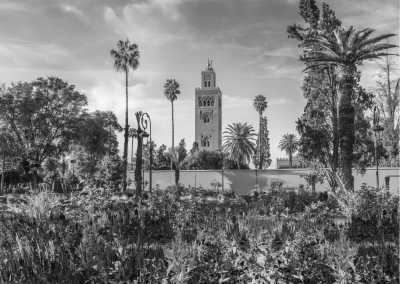 Morocco - Marrakesh - The ultimate Morocco Adventure: Trekking, Yoga, and Surfing Plus Marrakech City Trip - 1