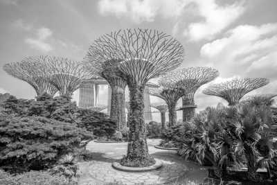 South-eastern Asia - Singapore - Malaysia, Singapore, and Indonesia: A  2-Week Adventure - 2