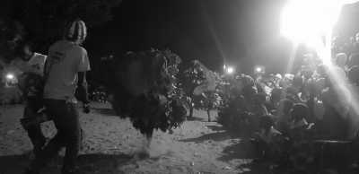 Gambia, The - Gambia - Abenteuerreise nach Paradise Island in Afrika - Gambia (Guided Trip) 😊 - 3