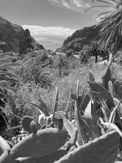 Spain - Buenavista del Norte - Hike, Beach, Nature & Traditions: Escape the cold temperatures of mainland Europe and join us for a sunny island adventure. 🌴 🤿 - 6