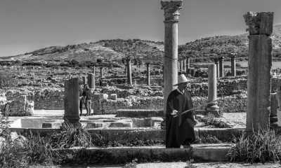 Marokko - Conservation du site Archéologique de volubilis - Discover the Hidden Gems of Fez: A Journey Through Morocco's Cultural Capital - 12
