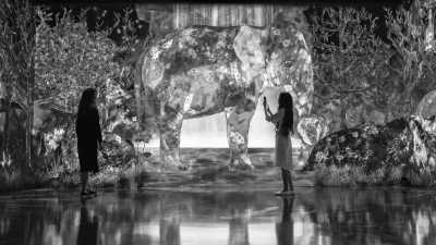 Japan - Koto City - 7 Tage Tokyo nonstop - Essen, Sightseeing und Spaß in der coolsten Gruppe