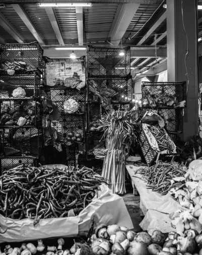 Mexico - Tuxtla Chico - Explore Chiapas Mexico - Mangroves beach, mountains and jungle! - 4