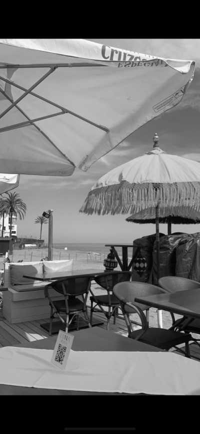 Spanien - Flughafen Málaga - Costa del Sol (AGP) - Andalusien Sonne pur - 1