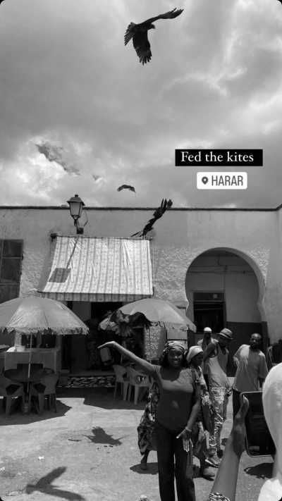 Ethiopia - Harar - Explore and Experience Rich Culture of Ethiopia! - 11