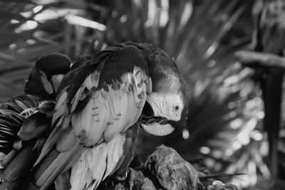 Mexiko - Cancún - Tacos, Tequila and Turtles - Yucatan, Mexico - 1