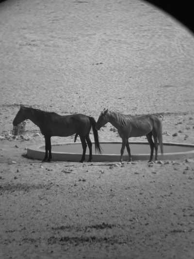 Southern Africa - Aus - Epic Overland Journey: From Namibe, Namibia to Cape Town, South Africa - 1