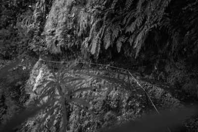 Portugal - Ribeiro Frio - Madeira  SPECIAL ADVENTURE - off the beaten path with a local Adventurer: João_lets_hike! - 2