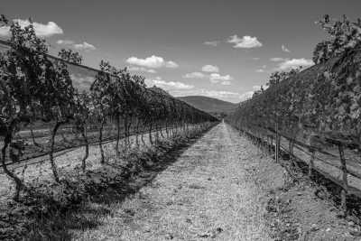 Mexico - Tequisquiapan - A Gastronomic  Journey Through the State of Queretaro in Central Mexico - 10