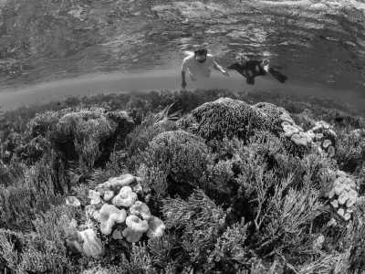 Indonesia - Nusa Lembongan - 4 days of Hopping Island : Trip to Nusa Penida, Nusa Lembongan and Nusa Ceningan Island in Bali, Indonesia - 2