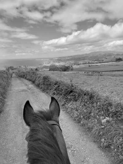 Portugal - Experience Sao Miguel, Azores: The Ultimate Off-the-Beaten-Path Getaway - JoinMyTrip