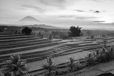 Indonesia - Jatiluwih - Explore the Magic of Bali! - 1