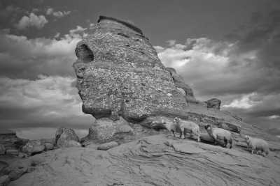 Romania - Sinaia - Discover Romania: 5 Days Trip In Bucegi Mountains! Hike in the Carpathian Mountains and Visit Stanning Medieval Castles! - 1