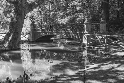 Italy - Piazza Gae Aulenti - Explore Milan’s Magic✨