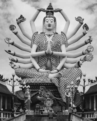 Thailand - Elephant Jungle Sanctuary - Koh Samui 🌞 HomeOffice in Thai Paradise - 3