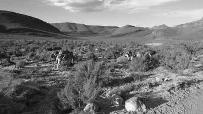 Südafrika - Oudtshoorn - 🌄 Cape Town and Garden Route with a local - 10 Days  🌞   Best of South Africa  🌅 - 6