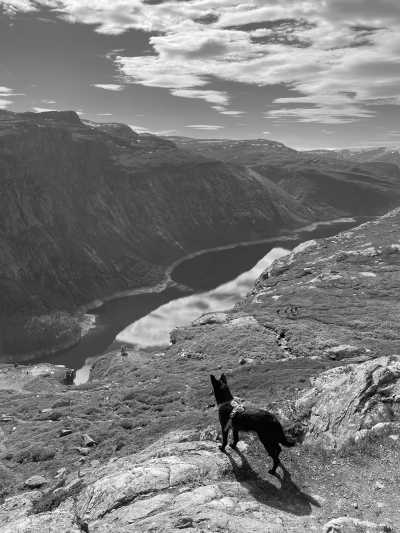 Norwegen - Trolltunga - Central Norway Summer Adventure: Scenic Drives and Breathtaking Hikes - 4