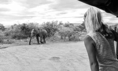 Sri Lanka - Elephant Transit Home - Escape to Sri Lanka - Ayurveda Spa Retreat, Yoga & Meditation - 2