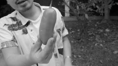 Peru - Lima - Lima, Peru CoWork Trip: 2 Weeks in the Food Capital of South America with a Local - 16