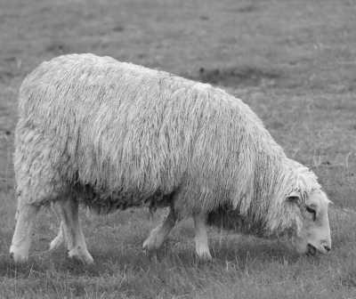 Vereinigtes Königreich - Amesbury - Extraordinary UK Winter Getaway 🎄 Bath and STONEHENGE Winter Solstice Celebrations 🕯 Cosy Cotswolds Day Trip, and Festive Fun ⛸️ - 1