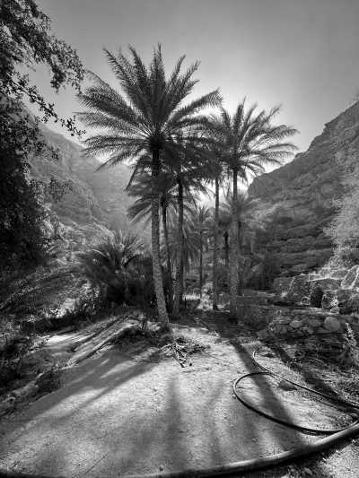Oman - Wadi Ash Shab - Oman 4x4 Road Trip: Explore Off-Road Adventures and Scenic Landscapes - 2