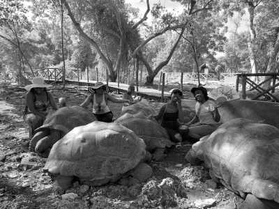 Tansania - Abeid Amani Karume International Airport - Zanzibar Workcation: Cowork, Chill, and Explore Paradise(private room) - 28