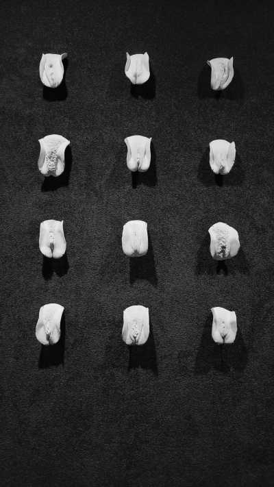 Australia - MONA - Travel South Tasmania, Australia with Millie! - 4