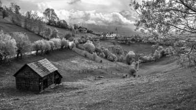 Romania - Bran Castle - Discover the Beauty of Transilvania and Explore the Romanian's Winter Traditions Before Holidays! - 3