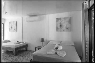 Costa Rica - Puerto Viejo de Talamanca - Work and Live in Costa Rica's Wonderful South Caribbean Side! - 23