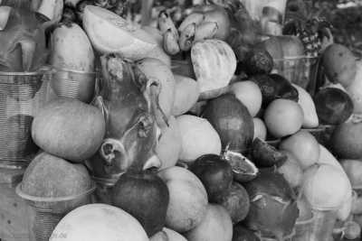 Thailand - Bangkok - 🇹🇭 Nordthailand entdecken - inkl. 3 Tage im Buddhistischen Kloster, Megacity Bangkok & das alte Königreich Sukhothai 🍻🏯🌿🐘 - 4