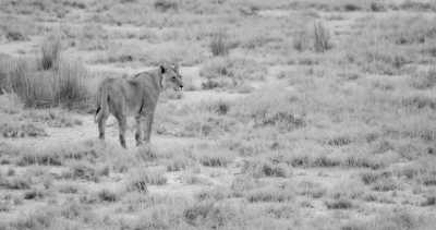 Namibia - Keetmanshoop - Roadtrip Namibia - Auf der Suche nach den Big 5 Namibias