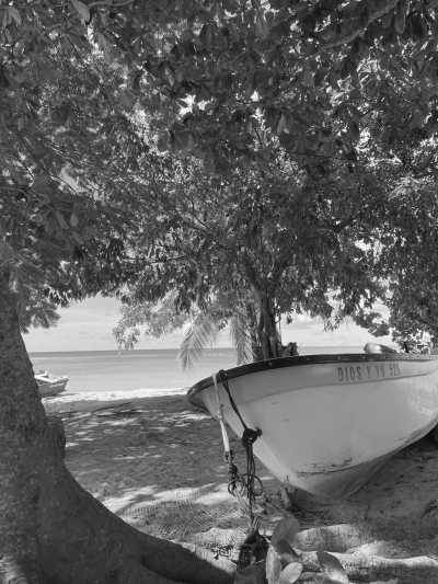 Kolumbien - Rosario Islands - 1 LAST SPOT LEFT‼️Colombia III EDITION 360º Experience in this amazing Country. INCLUDED: Tons of Local and Gastronomic Adventures with an Experienced TripLeader! - 2