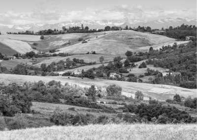 Italien - Acqui Terme - Monferrato Wine Weekend: Explore Italy's Enchanting Vineyards - 1