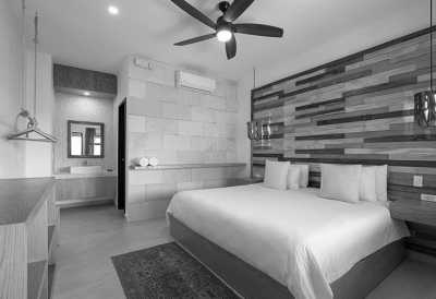 Mexico - Tulum Beach - Home Office in TULUM, Mexico with a Local: Beach, Cenotes, Fantastic Food and Much More! 🔜🌴 - 3