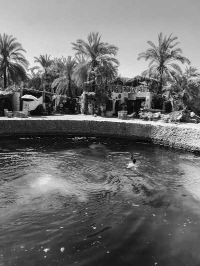 Ägypten - Siwa Oasis - The Pyramids and beyond: from Cairo to remote Siwa oasis in the Western Desert - 15