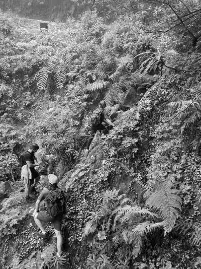 Portugal - Boca da Encumeada - Coworkation, Coliving and Adventurous Hiking Trip with a Knowledgeable expat on the dream island of Madeira (Single rooms) - 9