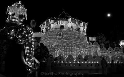 Sri Lanka - Kandy - Explore the Pearl of the Indian Ocean: Unveiling the Wonders of Sri Lanka - 2