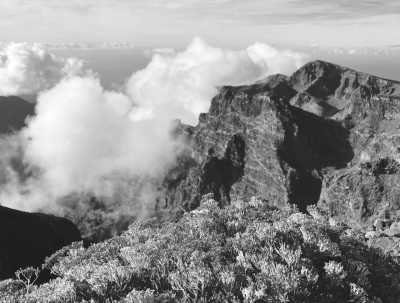 Spanien - La Palma - Canarias Islands by Your Paths: Three Islands in One Trip! - 1