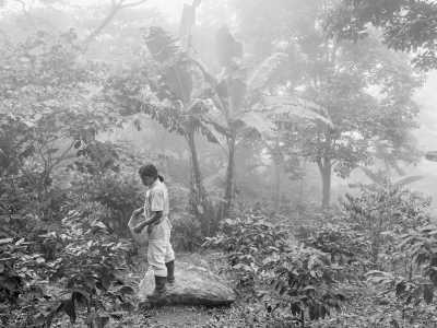 Colombia - Minca - 7 days immersive healing journey in the Sierra Nevada mountains! - 1