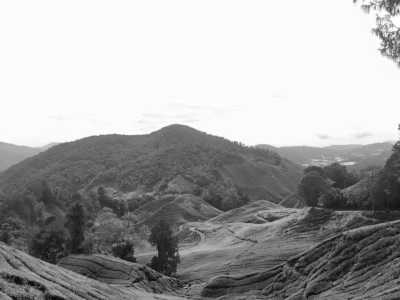 Südostasien - Cameron Highlands - Let's go and explore Southeast Asia