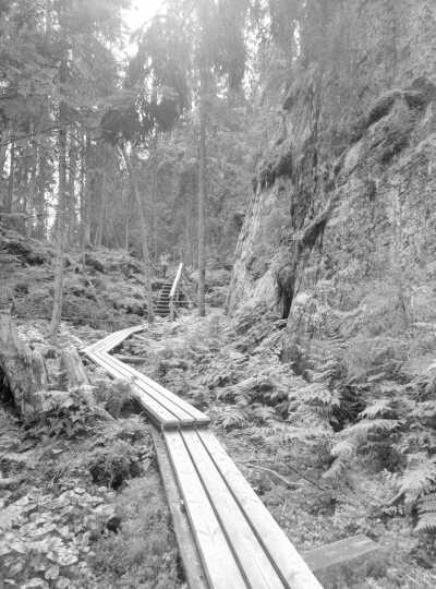 Finnland - Orinoro Gorge - Autumn at Finland's Lakeland and Special Excursion with a Local Guide - 2