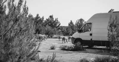 Croatia - Krka Waterfall - Kroatien Rodtrip im Coastrunner - 5