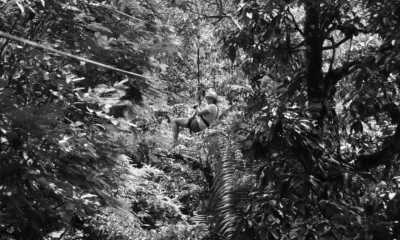 Costa Rica - Monteverde Cloud Forest Biological Preserve - Majestic Adventures in Costa Rica: Beaches, Volcanoes, Hot Springs, Cloud Forest, and Pura Vida Lifestyle! - 2