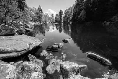 France - Lac de Fischboedle - A Magical Experience | Alsace, France | Walkshop Light | 4 Days | 4 Lakes Tour - trip to Lac Blanc, Lac Noir & more - 1