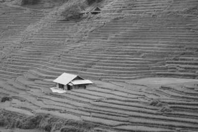 Vietnam - Cat Cat Village - Northern Vietam Unveiled: Nature, Hikes & Local Encounters - A 5-Day Journey for Nature Lovers and Cultural Explorers